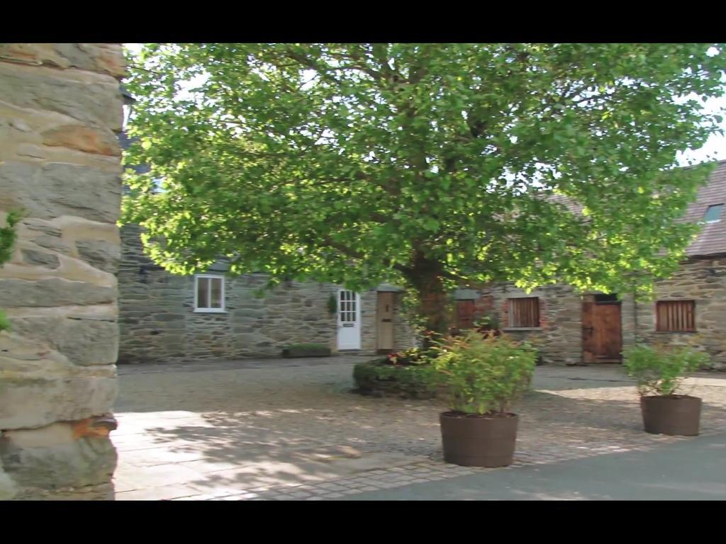 Bryn Melyn Farm Cottages Bala Exterior foto